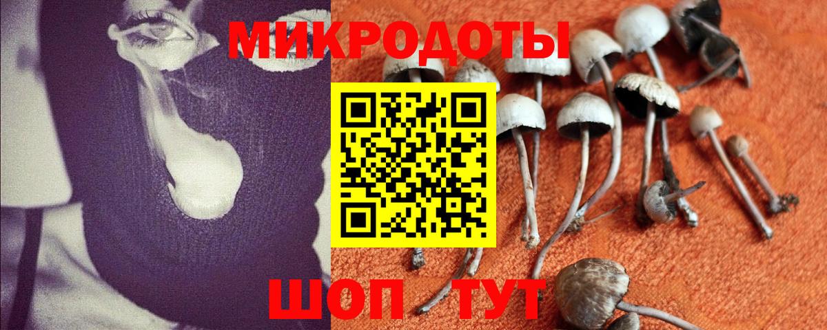 наркошоп  Вход с VPN  Тосно  Псилоцибиновые грибы мицелий 