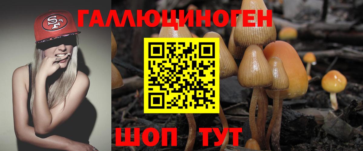 Галлюциногенные грибы Cubensis Тосно